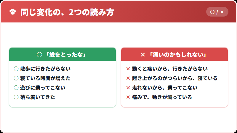 老化に見える変化