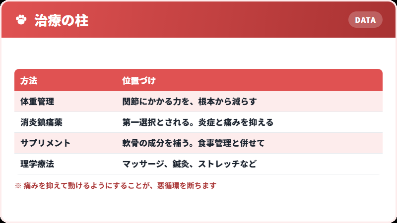 治療の組み立て