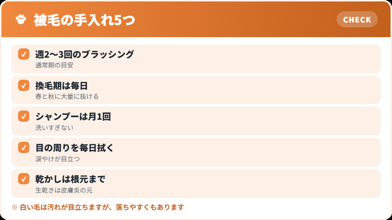 純白の被毛の手入れ