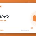 日本スピッツ