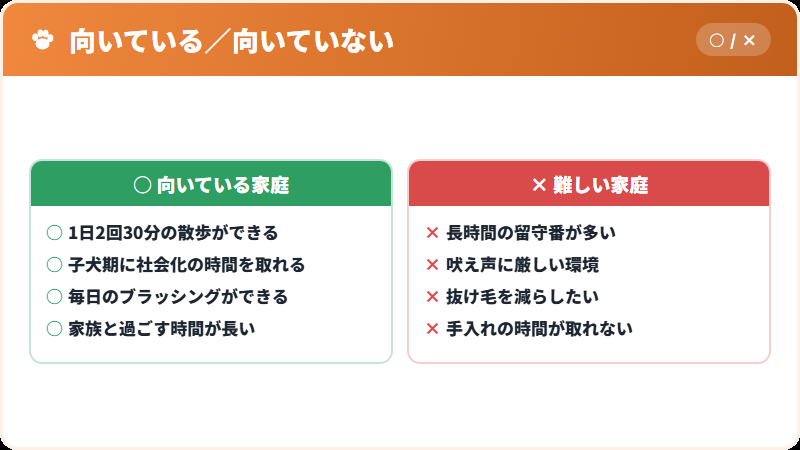 日本スピッツと暮らすのに必要なこと