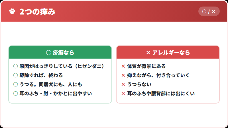 治る痒みと、付き合う痒み
