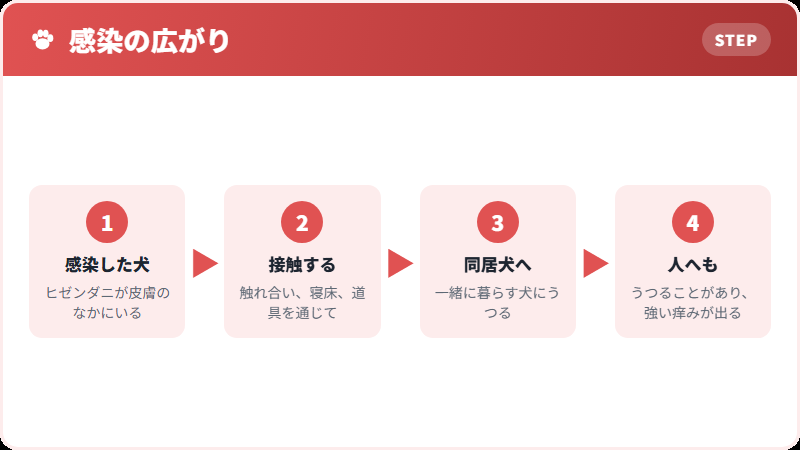 うつっていく道すじ