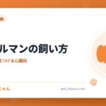 ドーベルマンの飼い方