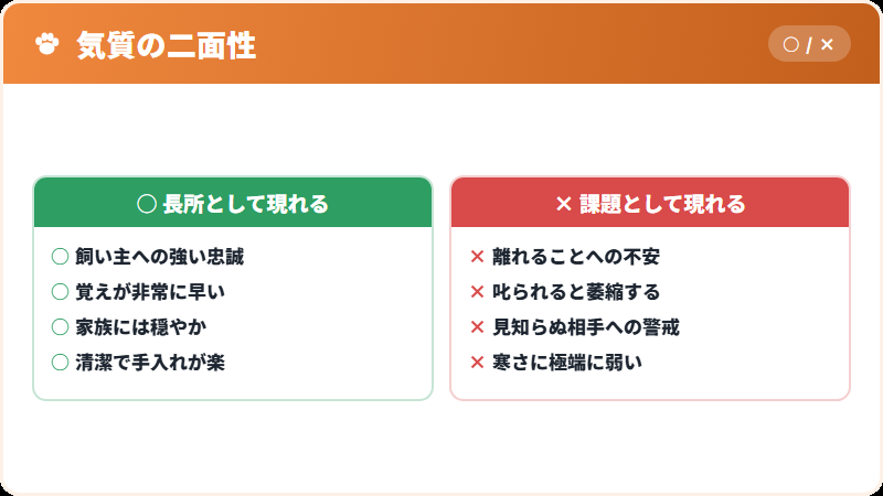 この犬種に必要な暮らし