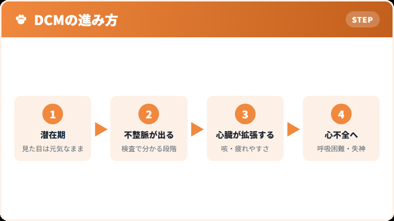 拡張型心筋症の進み方