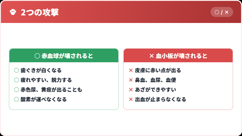 赤血球と血小板