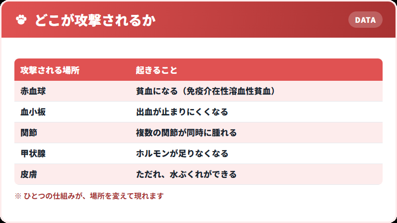 攻撃される場所