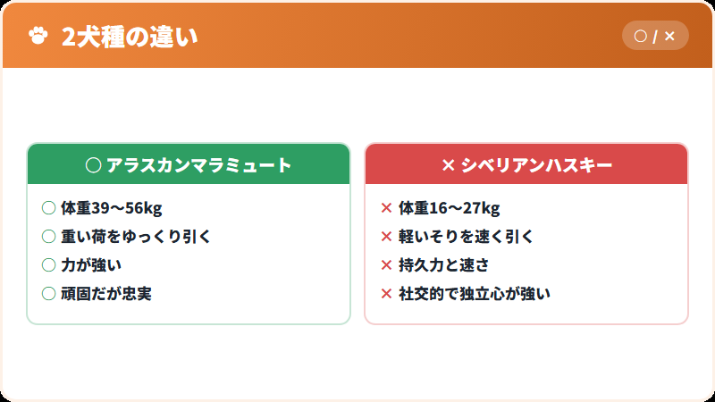 マラミュートとハスキーの違い