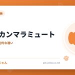 アラスカンマラミュート