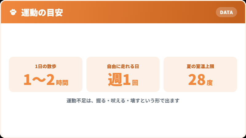 必要な運動量
