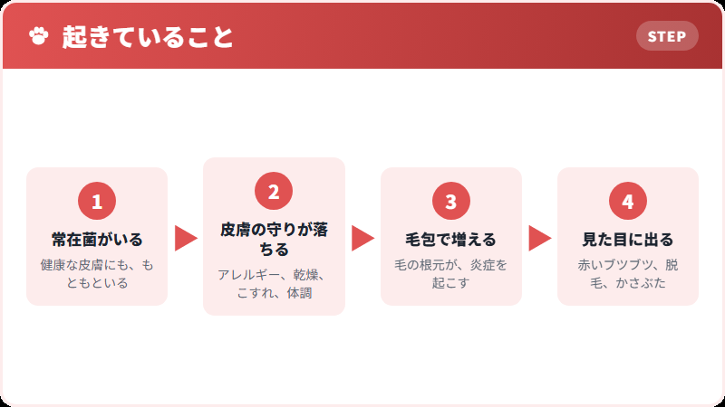 常在菌が、悪さを始めるまで