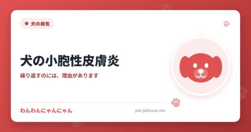 犬の小胞性皮膚炎