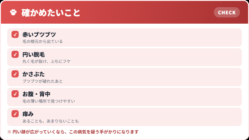 見た目の手がかり