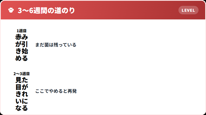 治療の経過