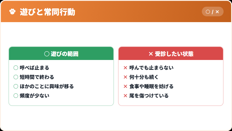 遊びと常同行動の見分け