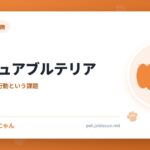 ミニチュアブルテリア