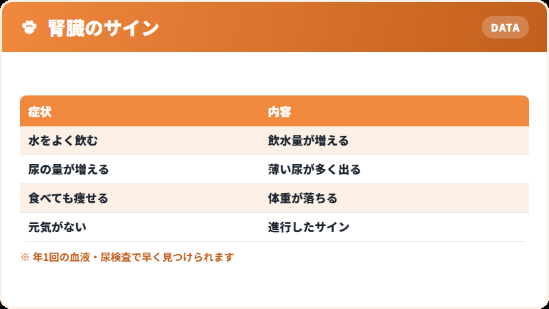 腎臓のサイン