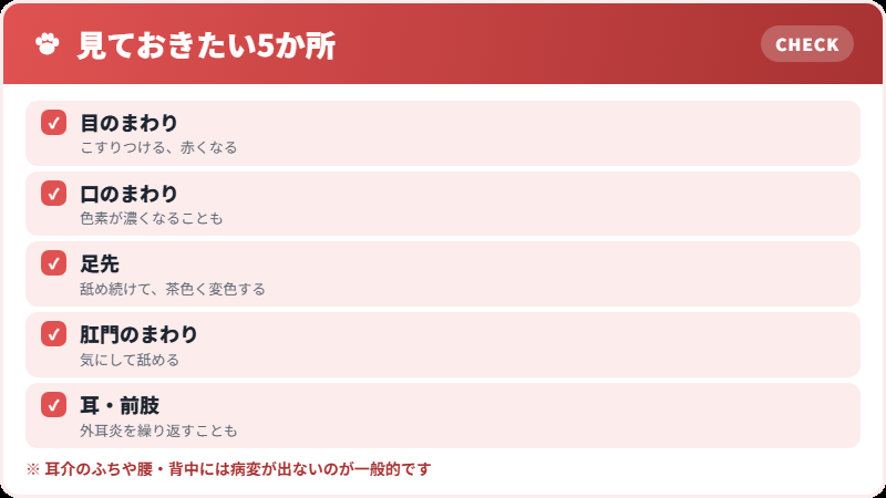 痒がる場所