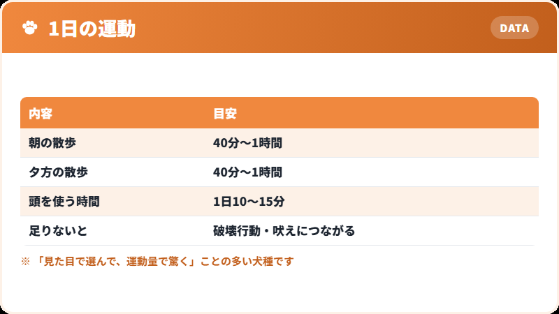 運動量の目安