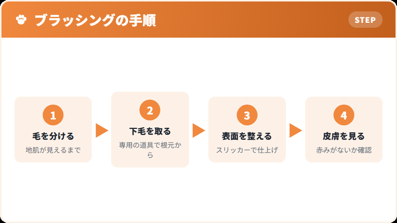 ブラッシングの進め方