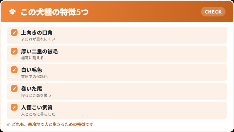 サモエドスマイルという構造