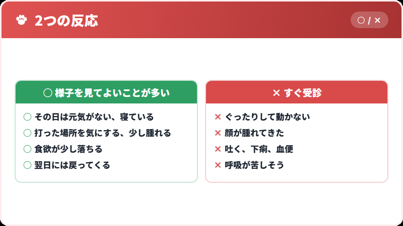 様子を見てよい反応と、そうでない反応