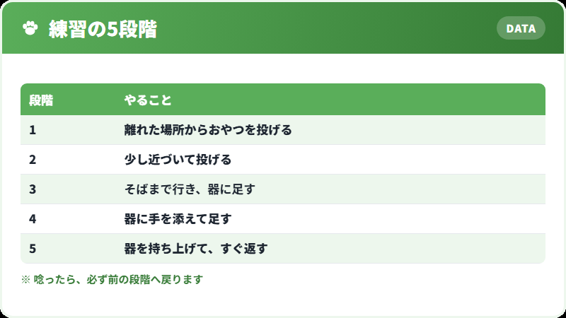 練習の段階的な進め方