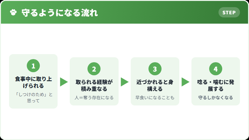 食器を守るようになる流れ
