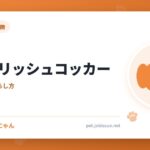 イングリッシュコッカー
