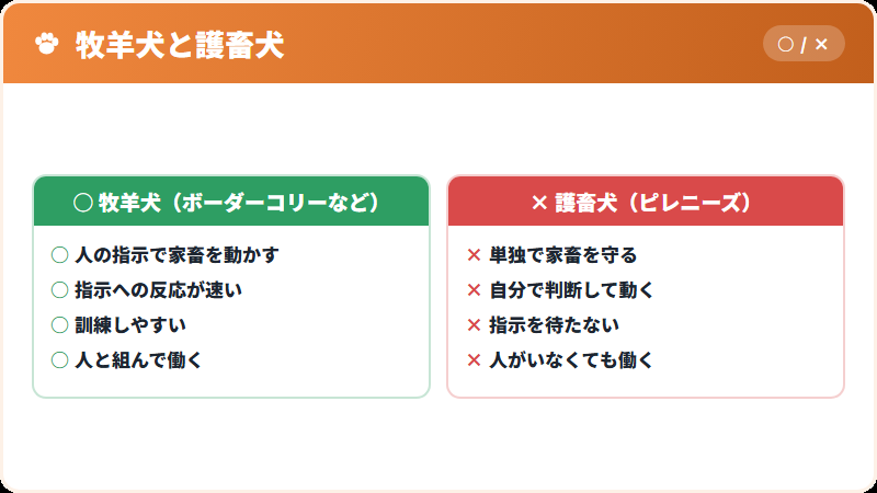 護畜犬という仕事の内容