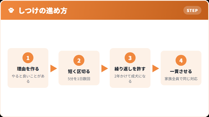 この犬種のしつけの考え方