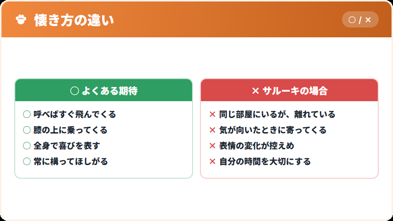 この犬種の懐き方