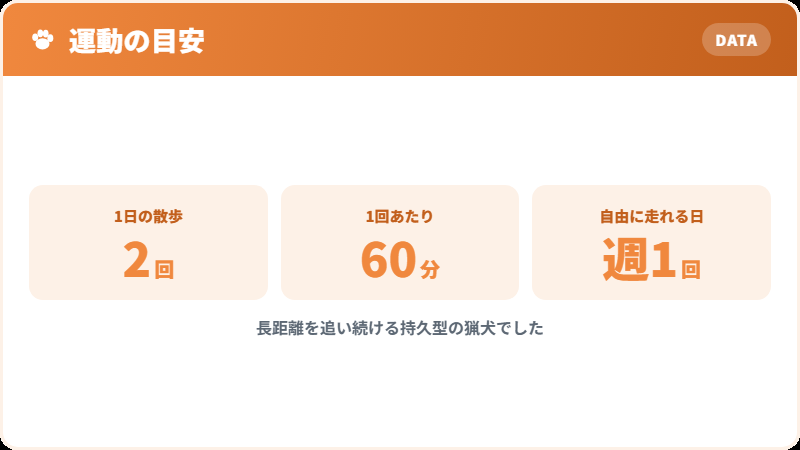 必要な運動量