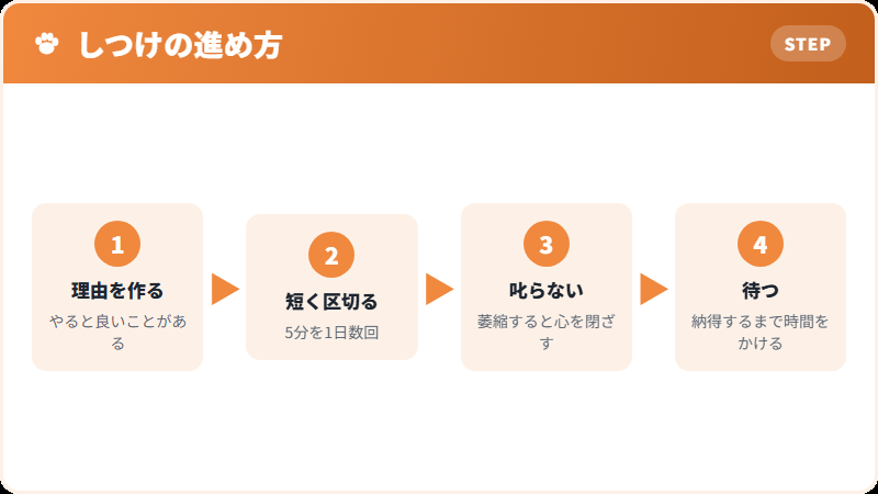 この犬種のしつけの考え方