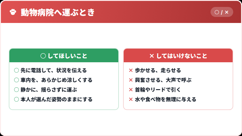 運ぶときにすること・しないこと