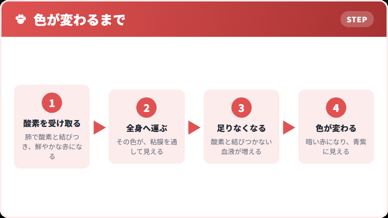 なぜ色が変わるのか