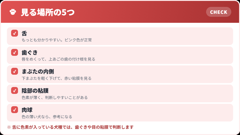 どこを見るか