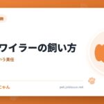 ロットワイラーの飼い方