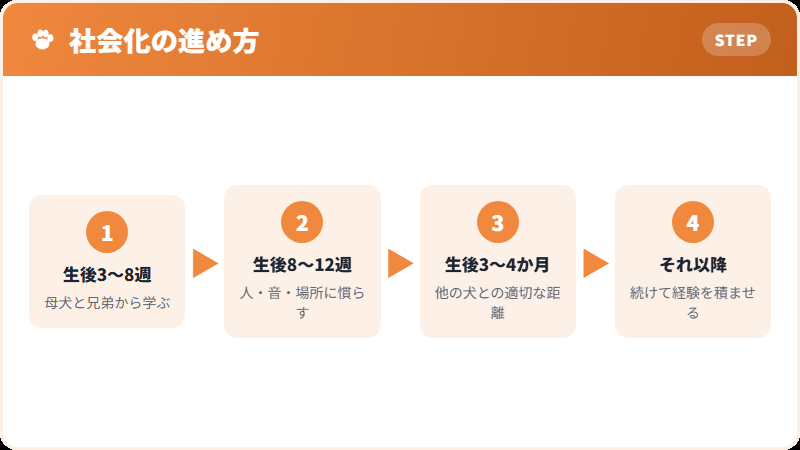 社会化の時期と内容
