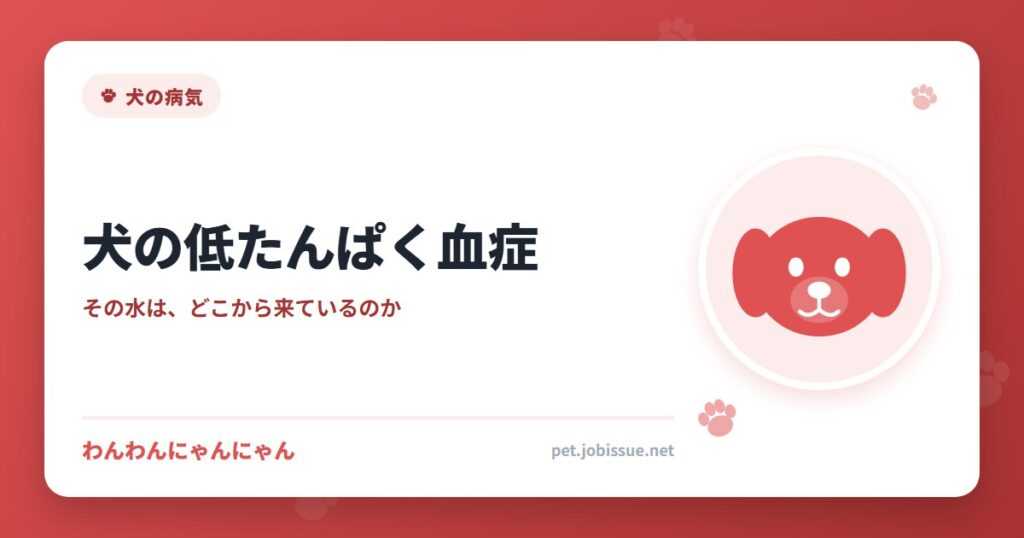 犬の低たんぱく血症