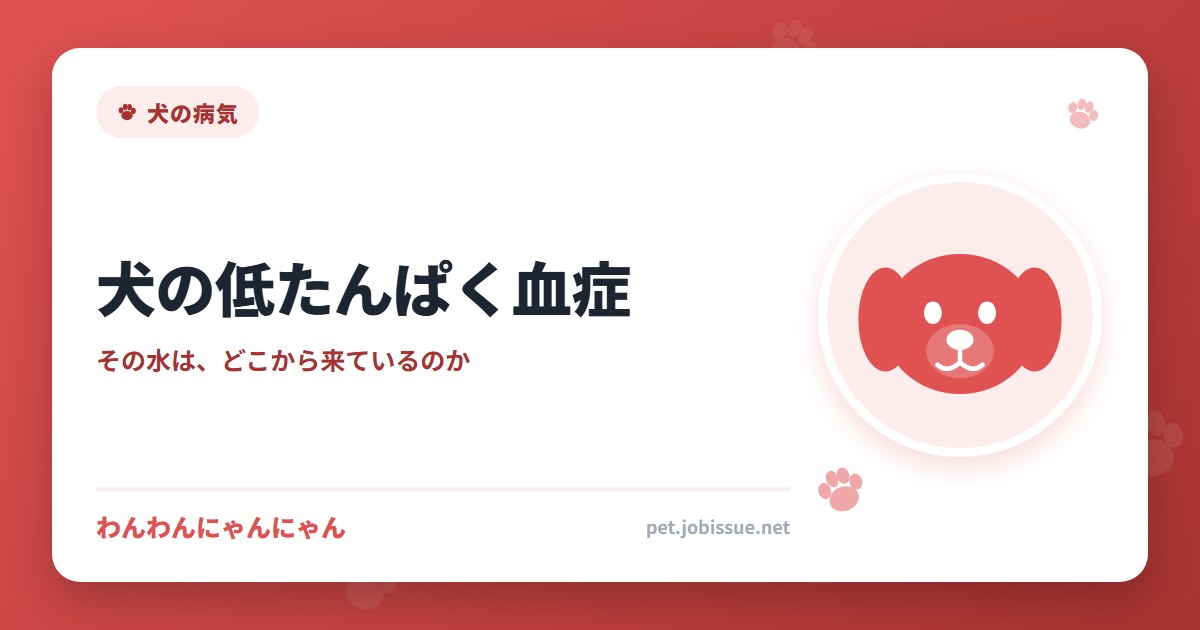 犬の低たんぱく血症