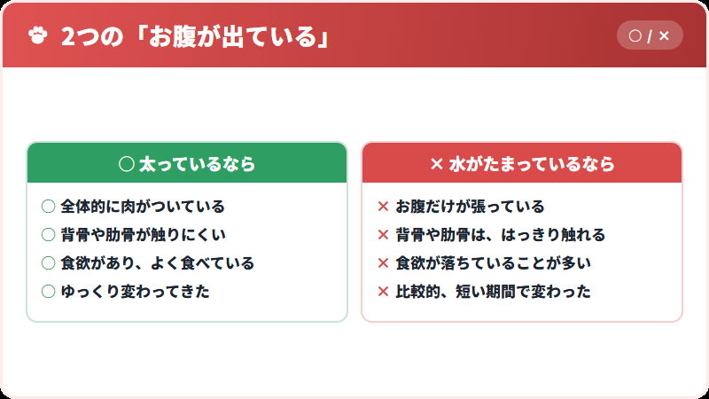 太ったのか、水がたまっているのか
