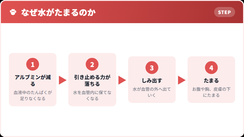 水がたまる仕組み