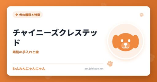 チャイニーズクレステッド