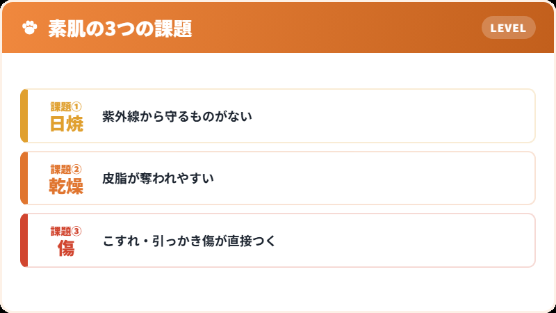 素肌に必要な手入れ