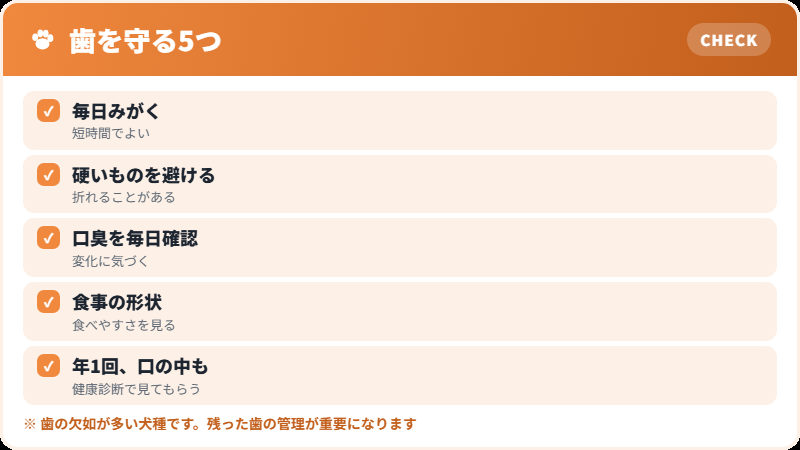 歯のケア