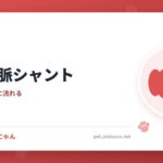 犬の門脈シャント