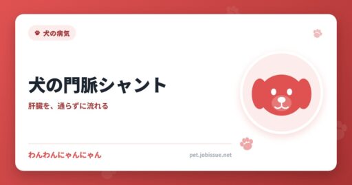 犬の門脈シャント