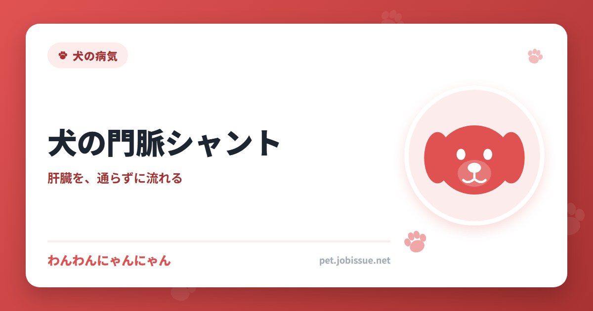 犬の門脈シャント